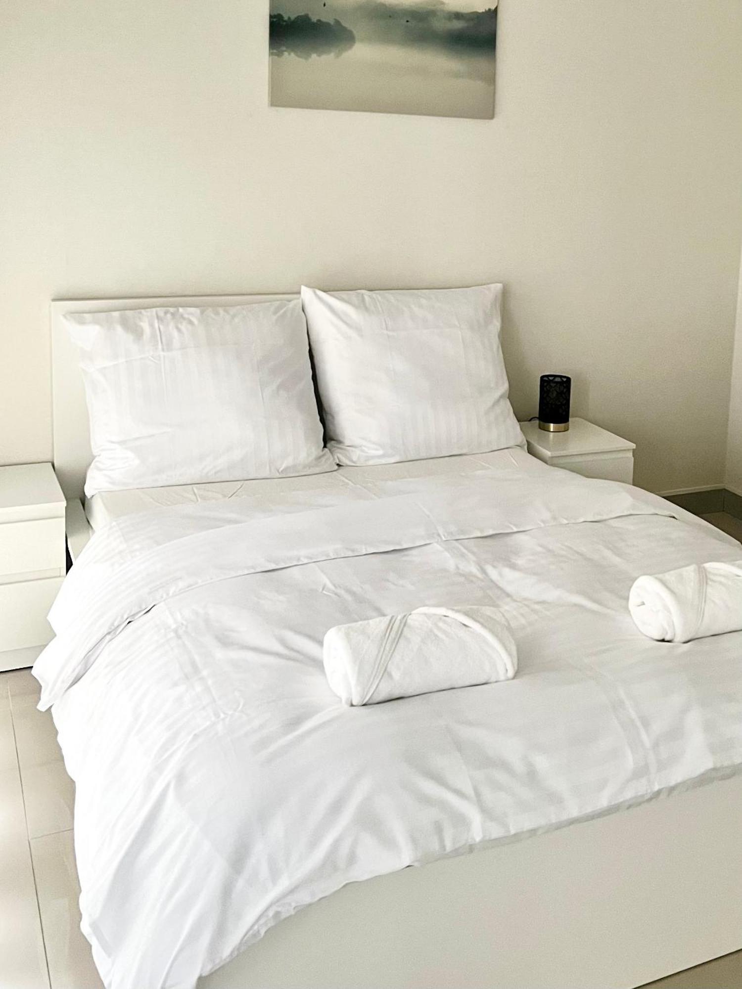Zielone Apartamenty Katowice Chorzów Cameră foto