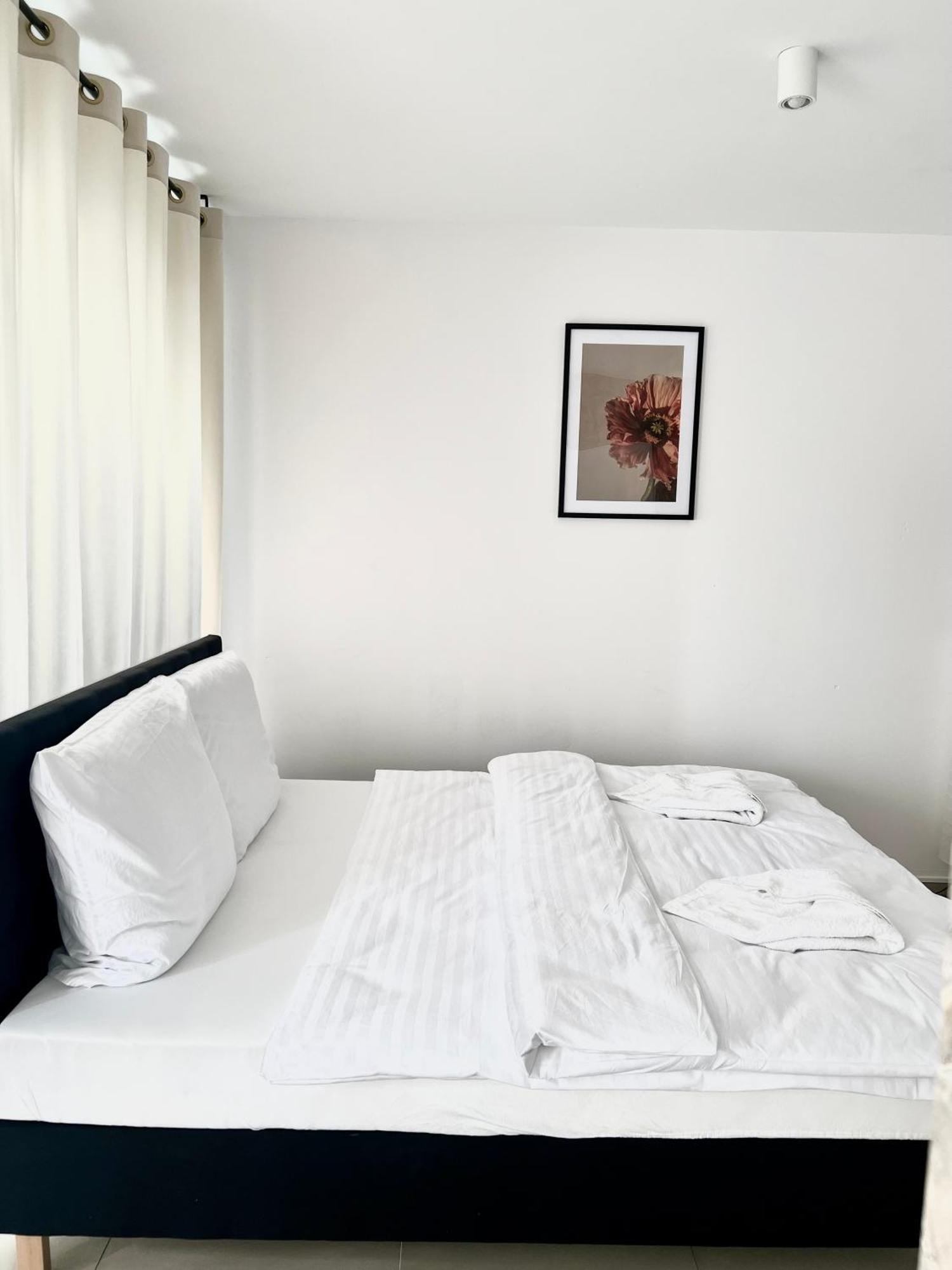 Zielone Apartamenty Katowice Chorzów Cameră foto